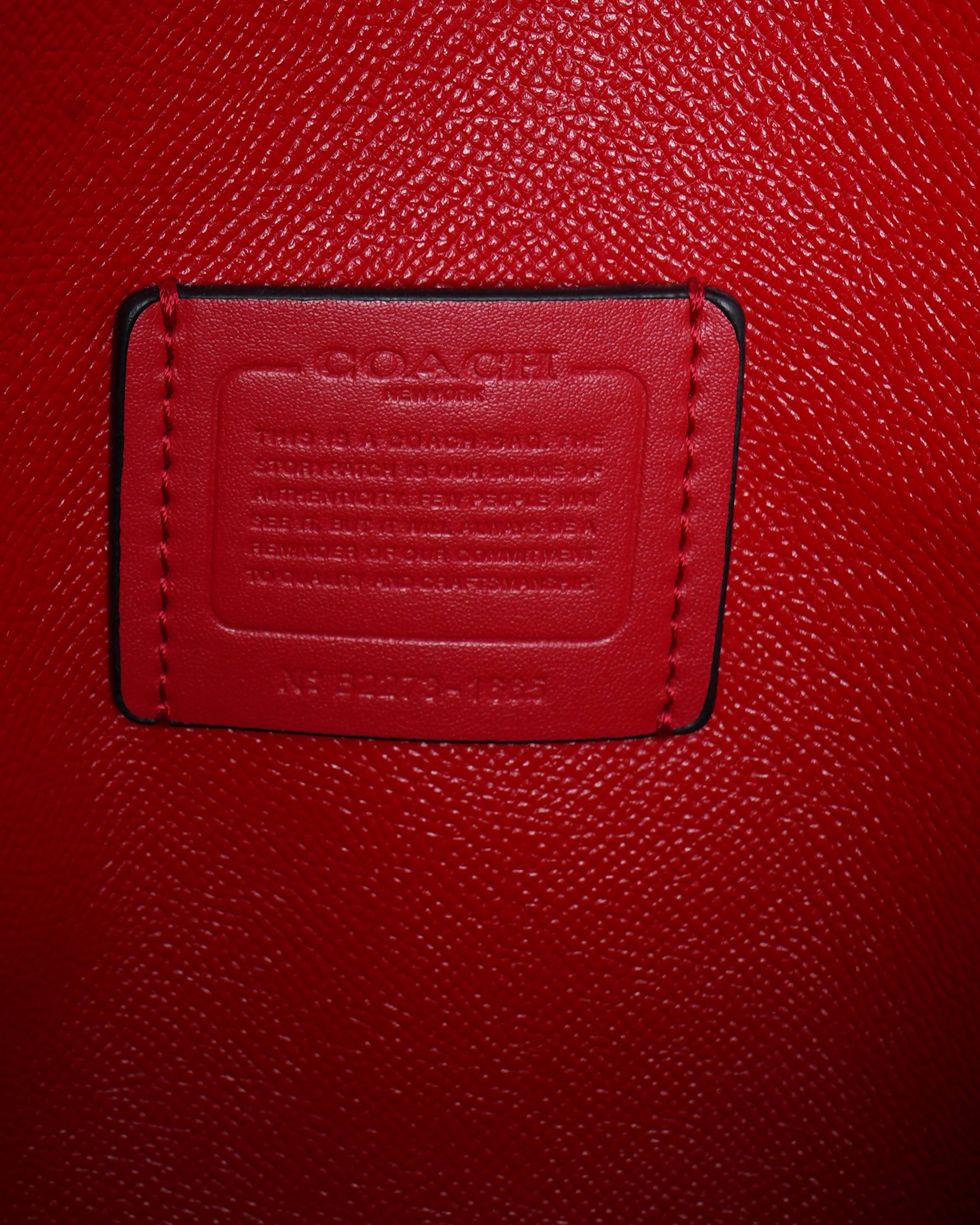 Coach Mollie Tote Bag In Signature Canvas