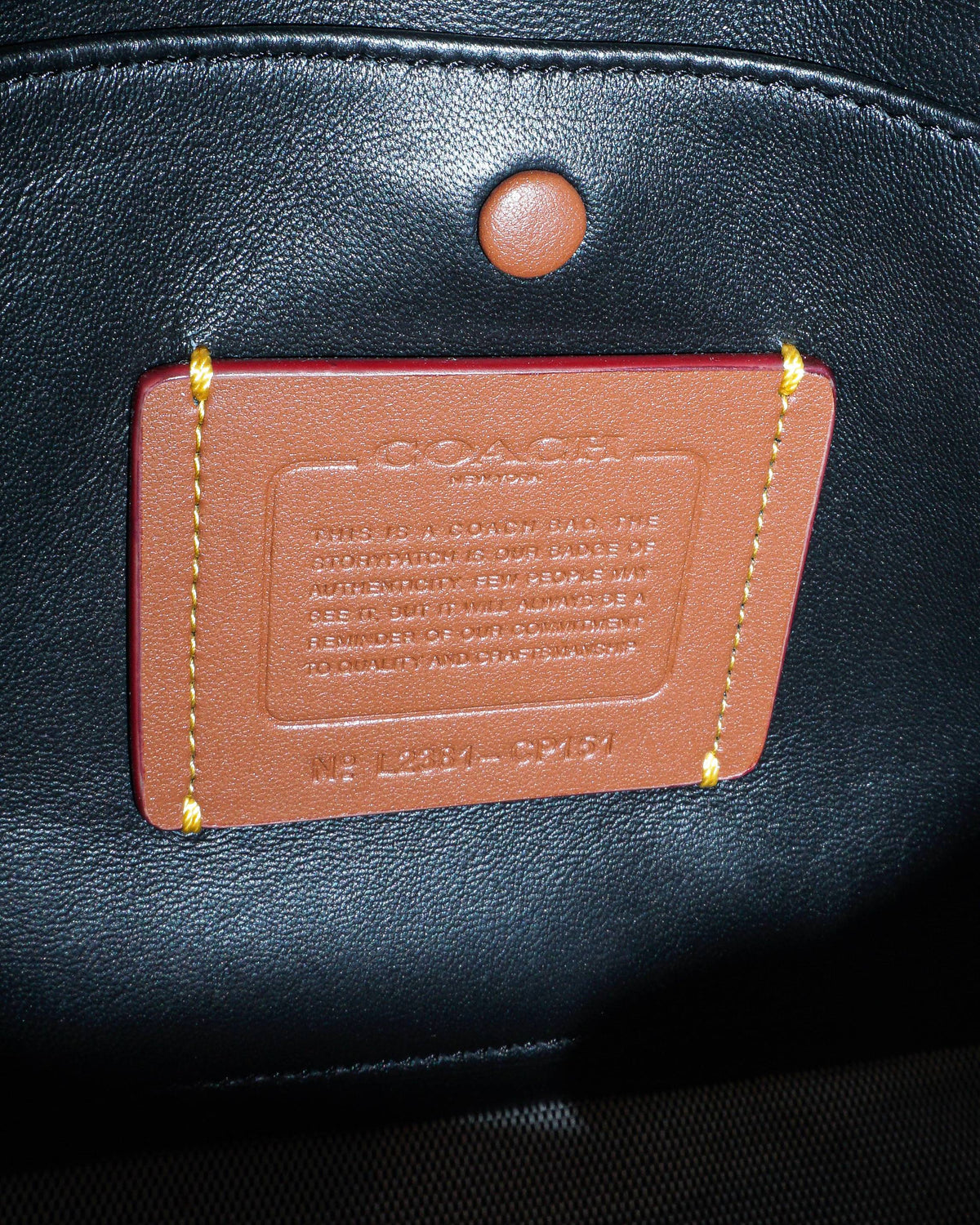 Coach Quilted Tabby 20 Shoulder Bag in Black Nappa Leather