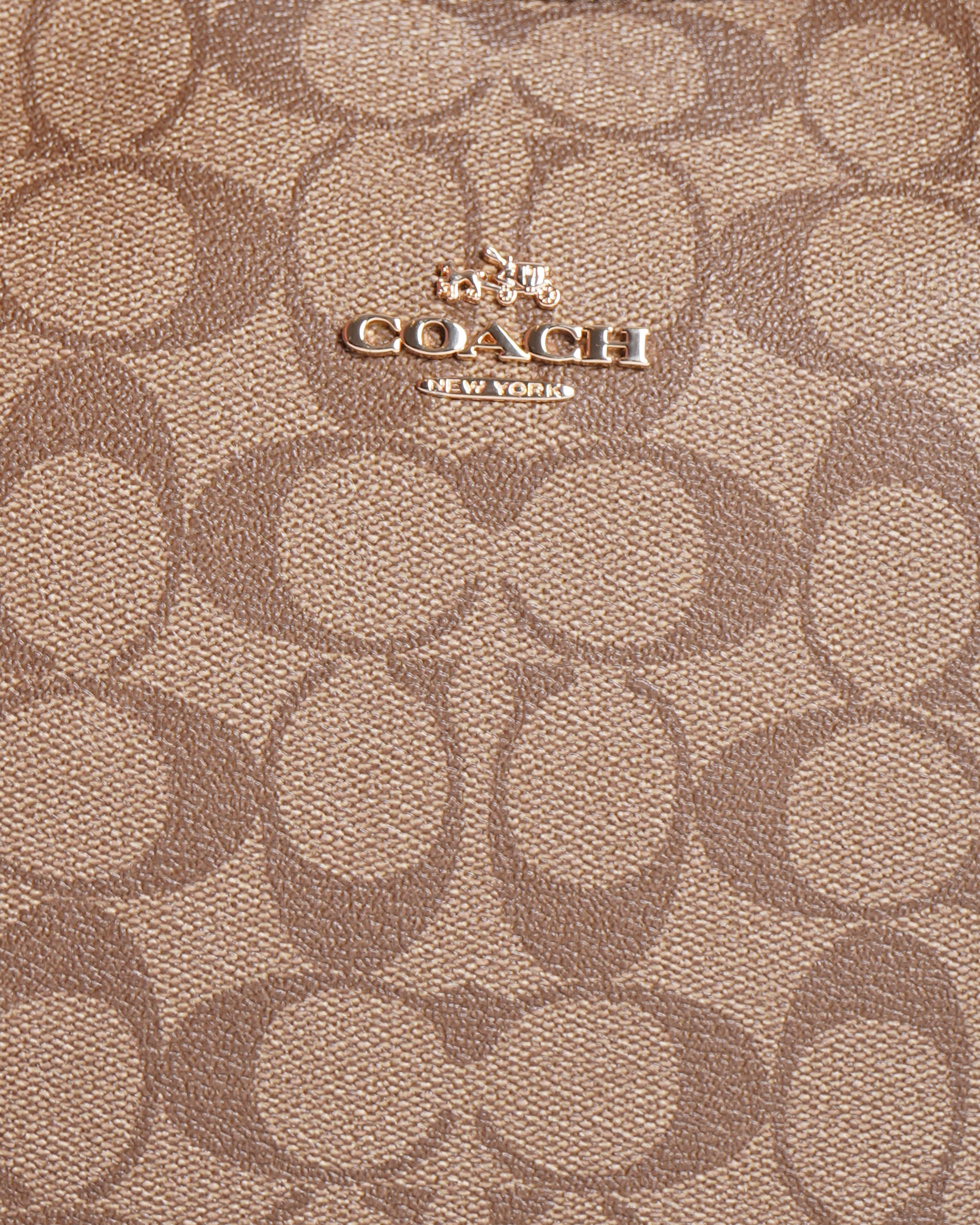 Coach Teri Shoulder Bag In Signature Canvas