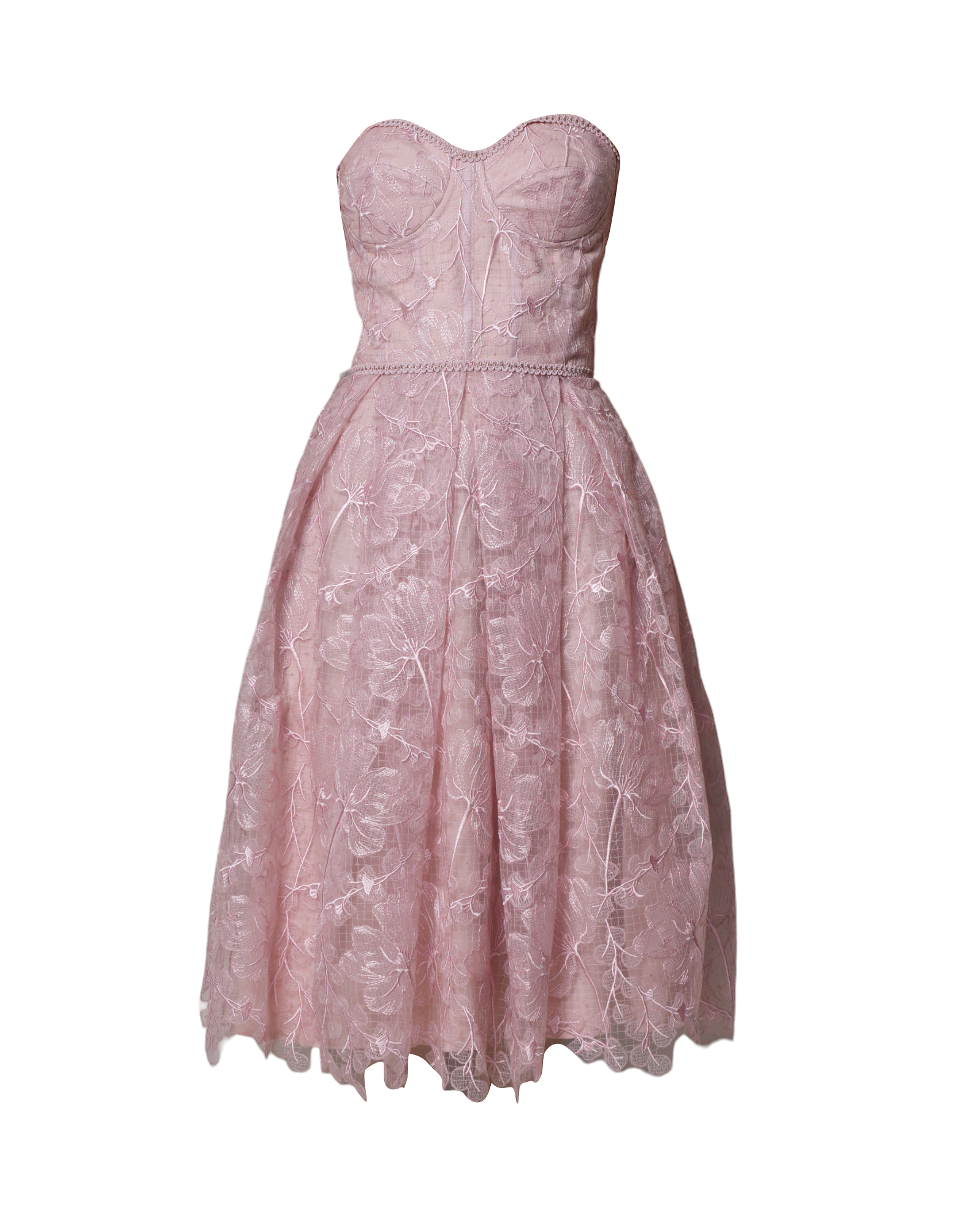 New Nadine Merabi Olivia Blush Dress