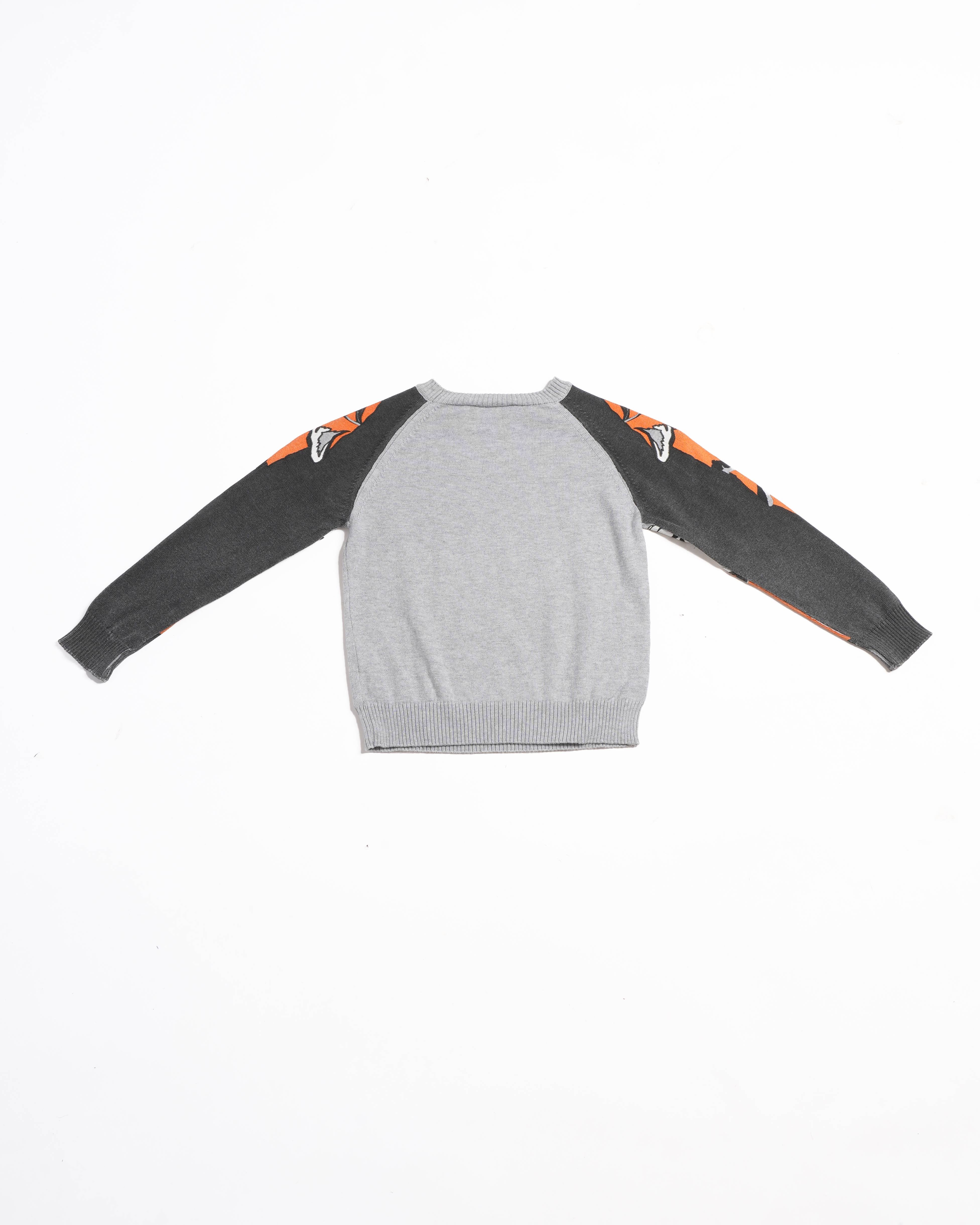 Roberto Cavalli Logo Sweatshirt in Grey for Boys