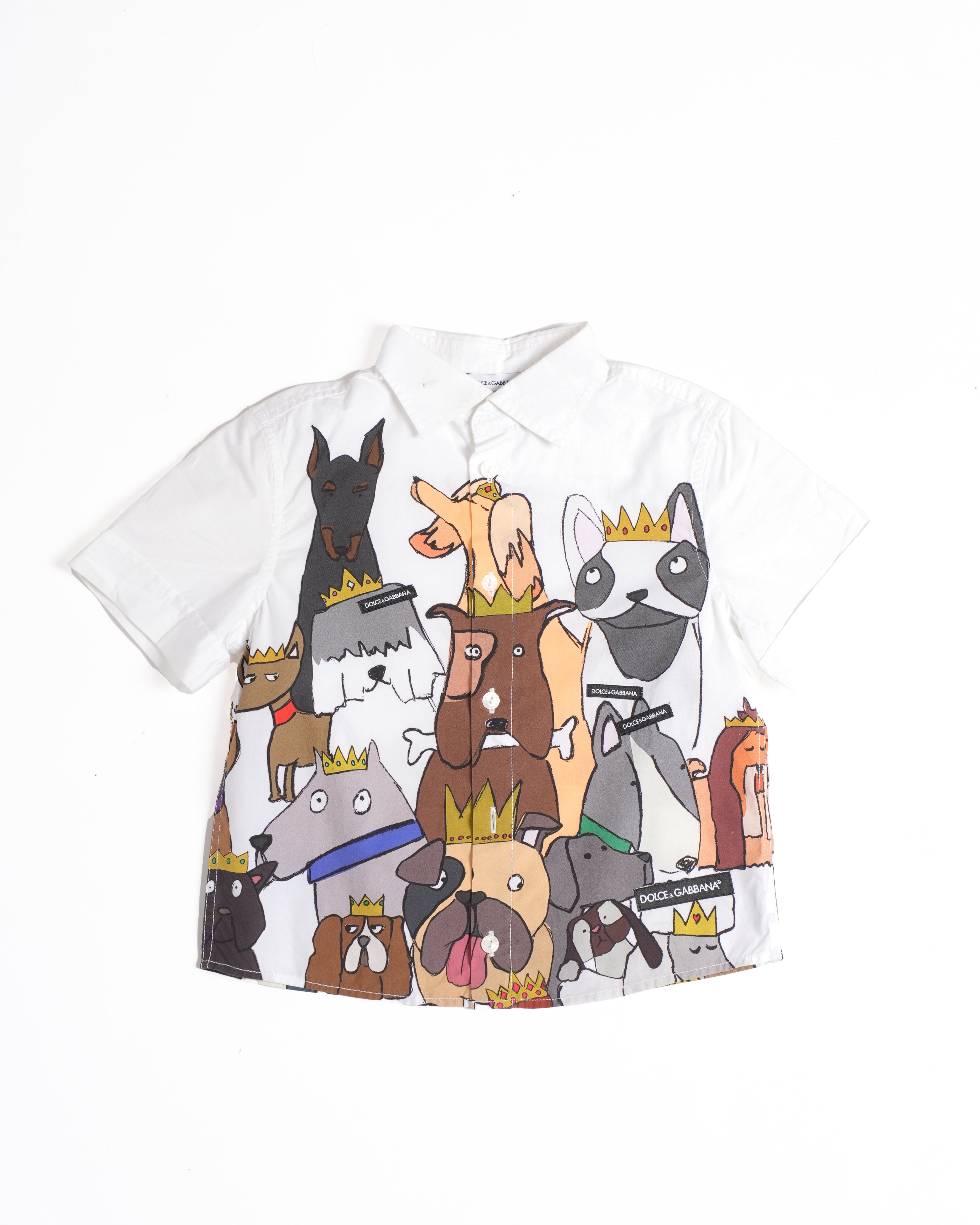 Dolce & Gabbana dog print kids shirt