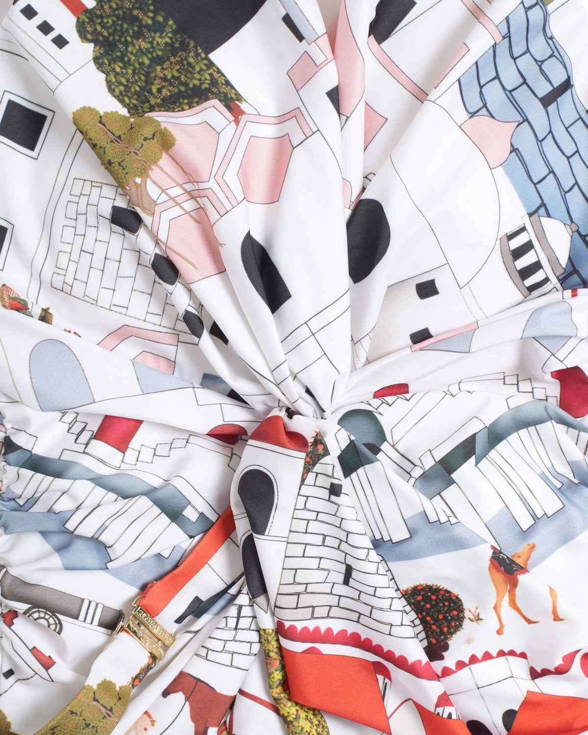 Shivan & Naresh Printed Swimwear