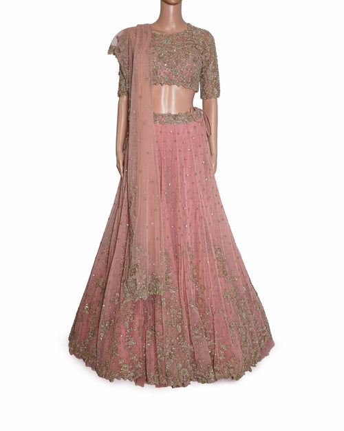 Anushree Reddy Pinky Floral Embroidered Lehenga Set WIth Cutdana Detailing