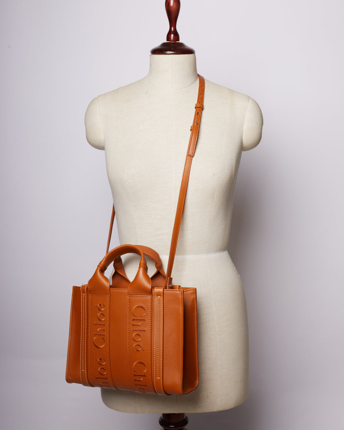New Chloe Small Woody Tote