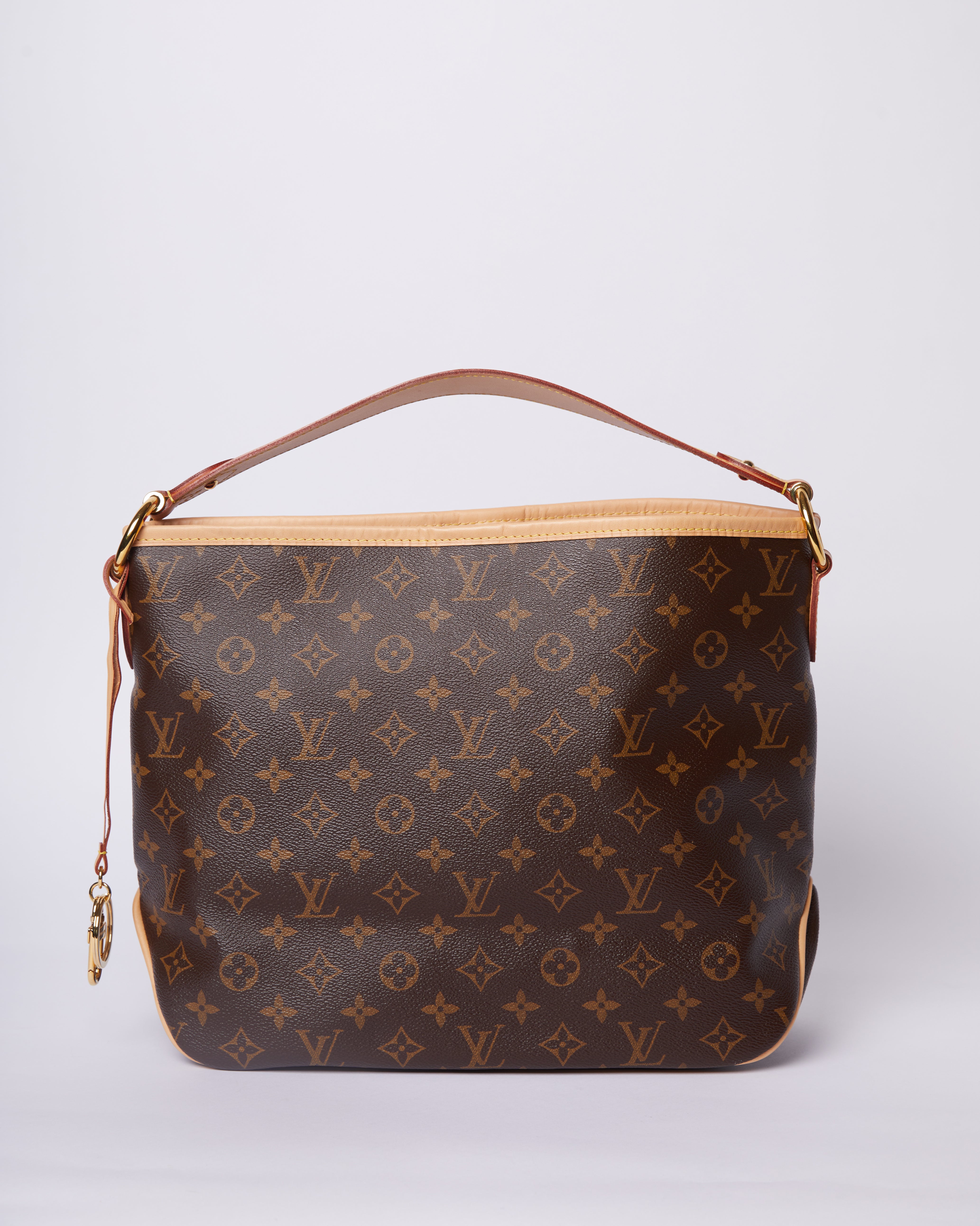 New Louis Vuitton bag (model - delightful PM)