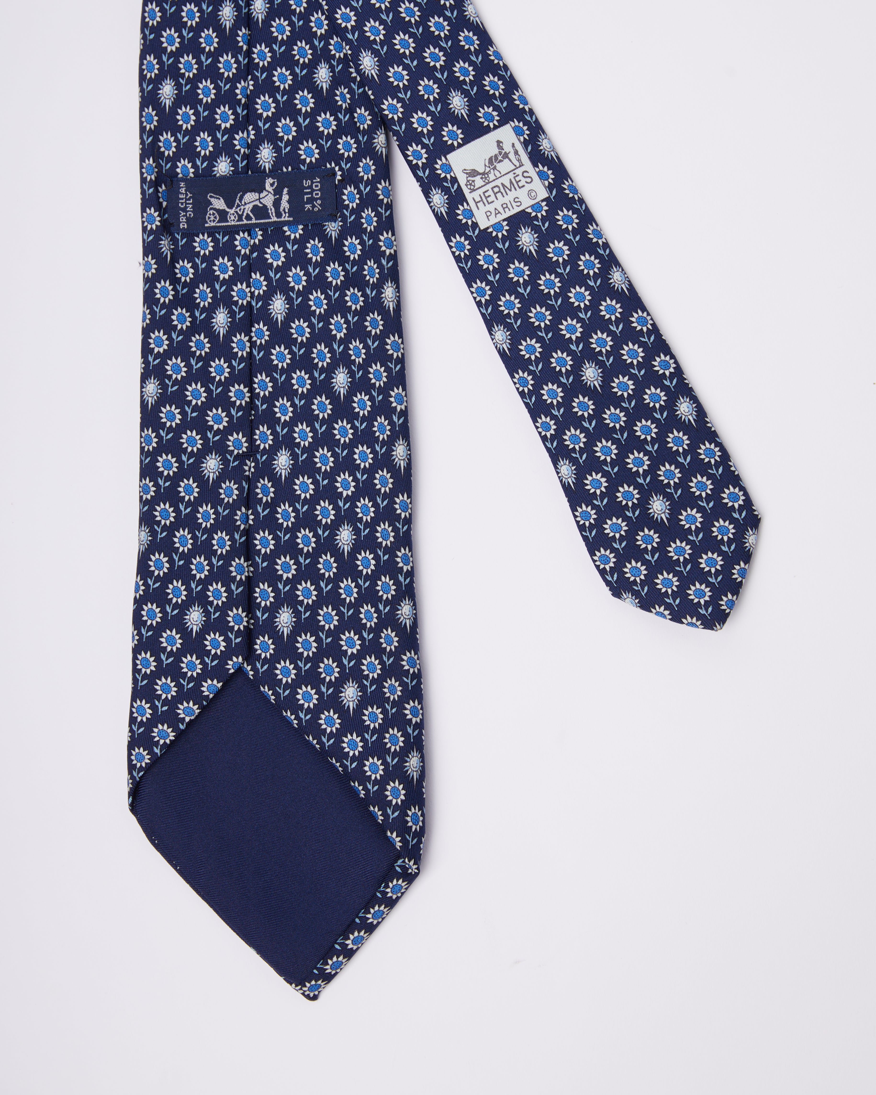 Hermes Blue sunnie Tie