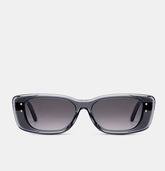 New Dior Diorhighlight S21 Transparent Grey & Light Grey Rectangular Sunglasses