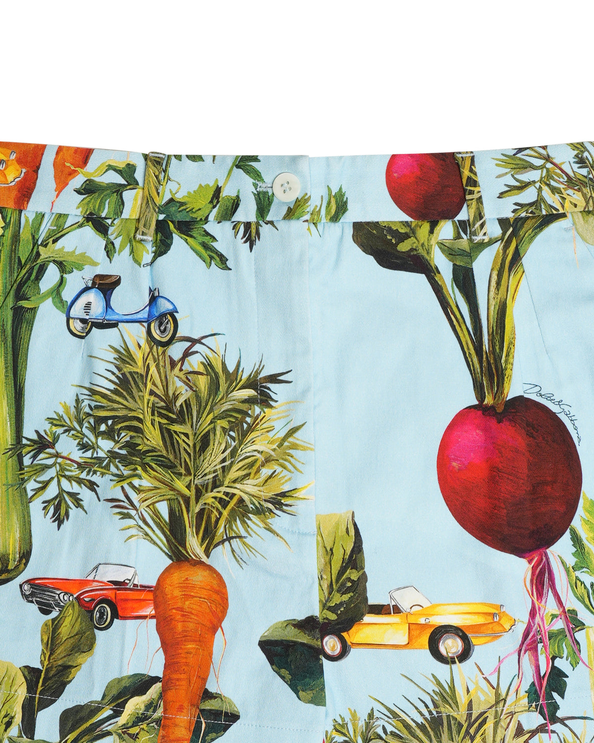 Dolce & Gabbana Multicolour Vegetable Print Shorts