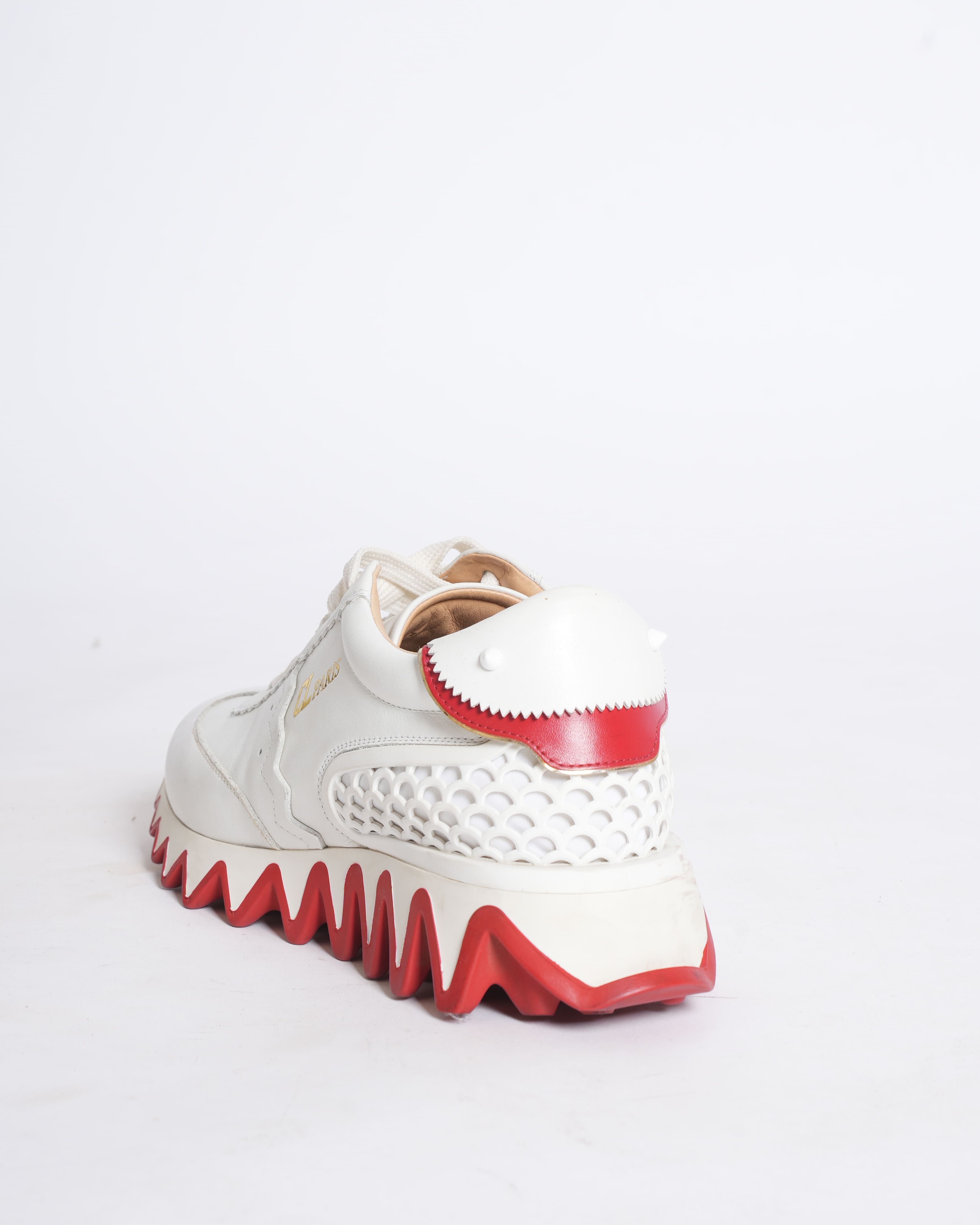 Christian Louboutin Shoe