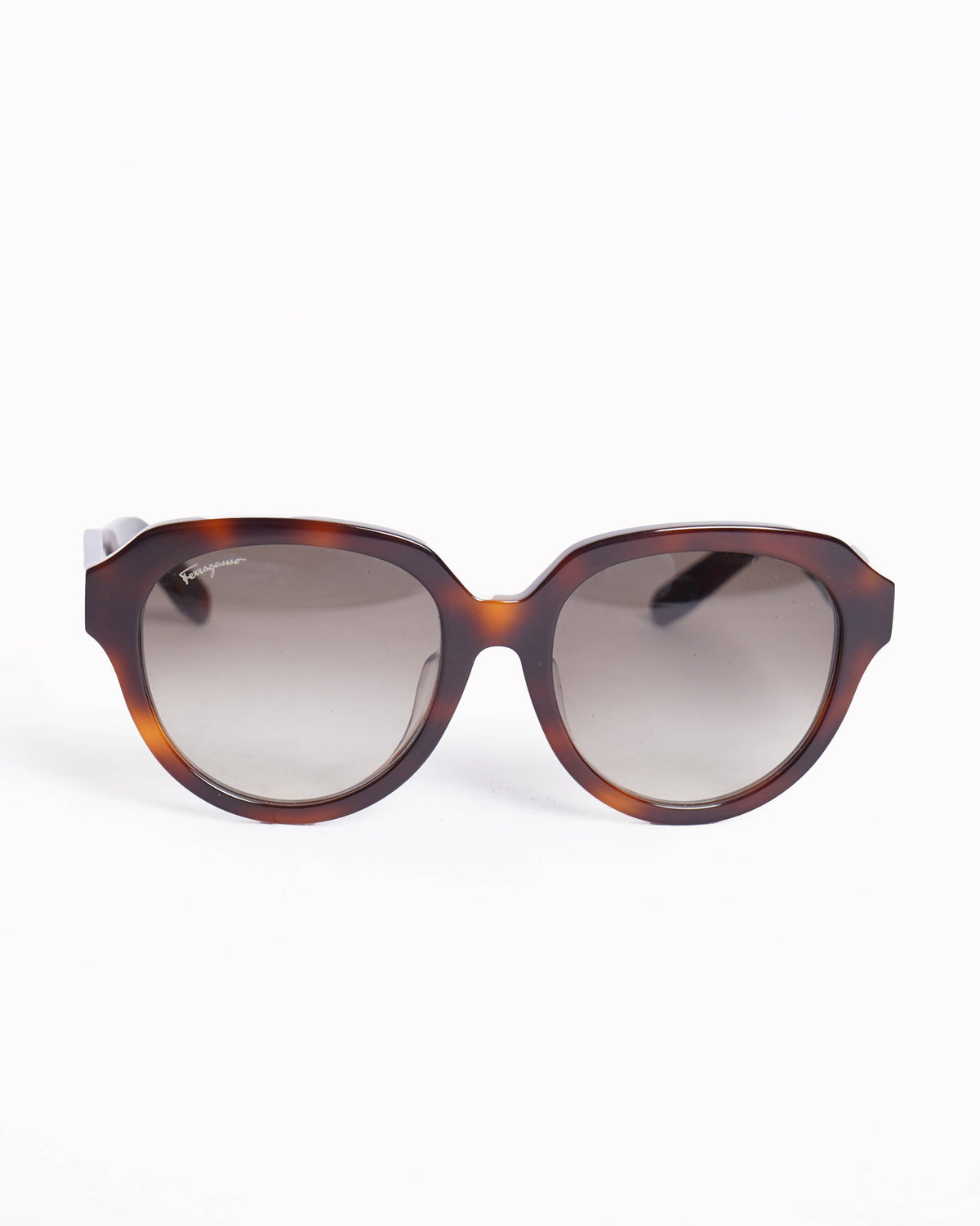 Salvatore Ferragamo Women's Sunglasses In Brown