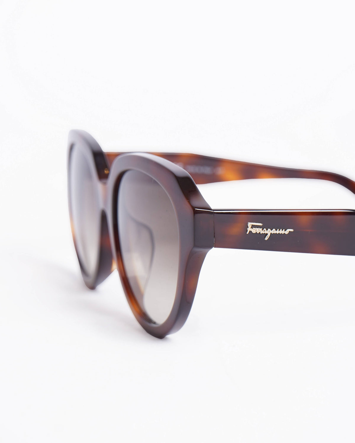 Salvatore Ferragamo Women's Sunglasses In Brown