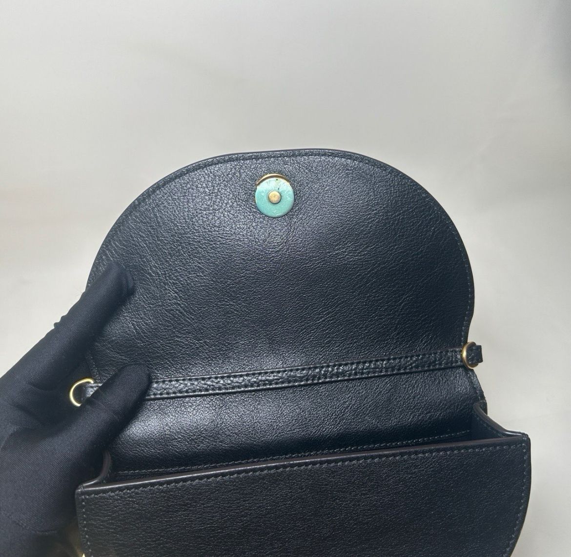 Chloe Nile Bag