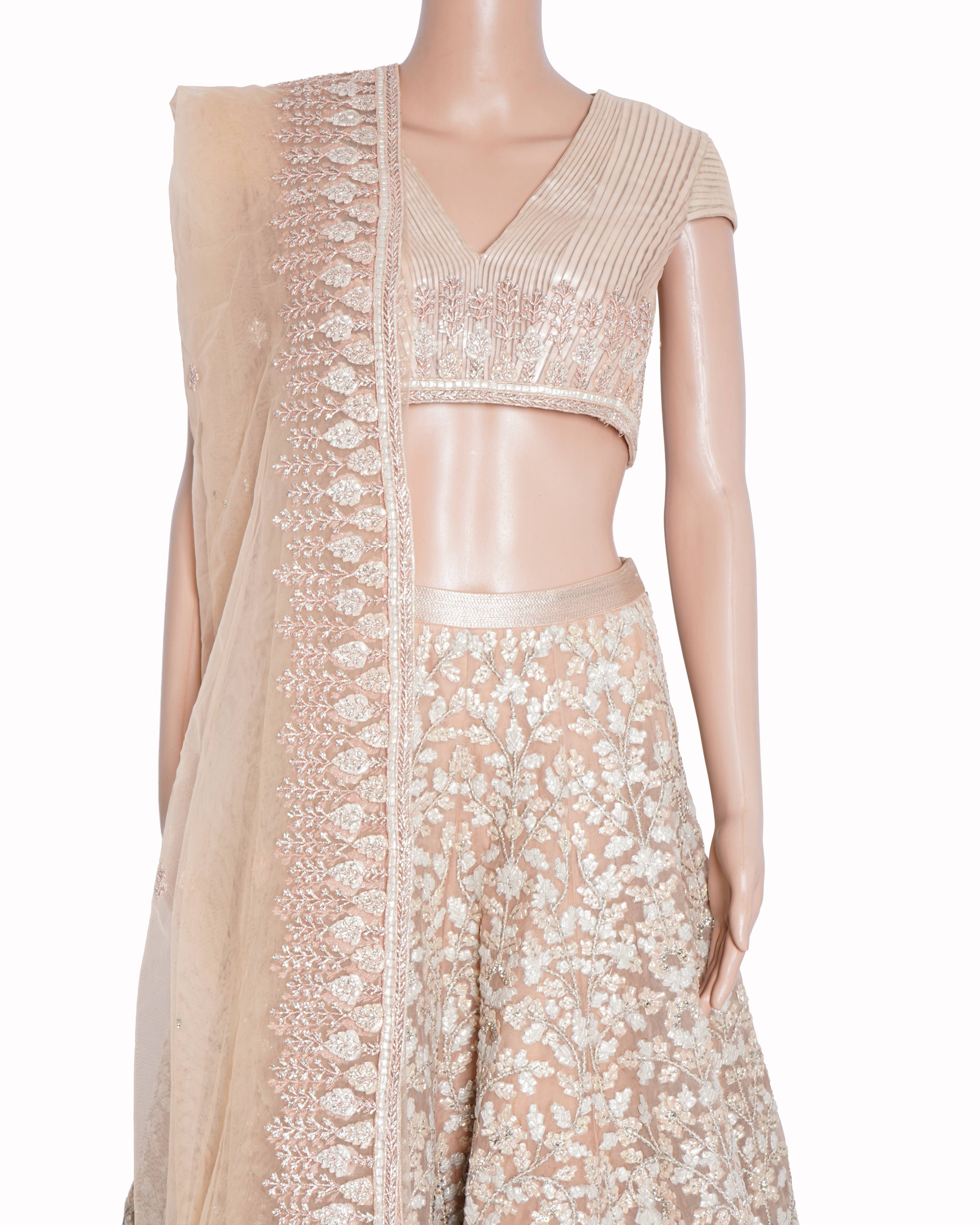 Shantanu and nikhil blush embroidered lehenga set