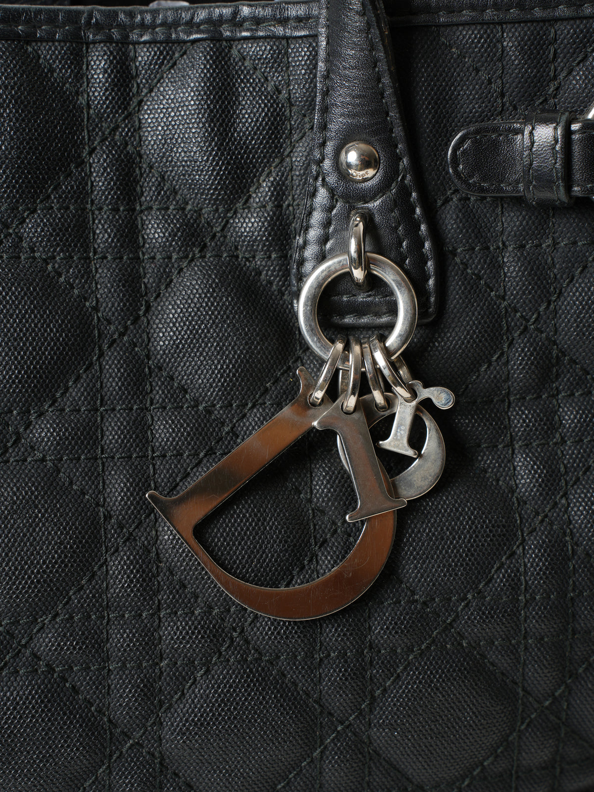Christian Dior Panerea Tote Bag